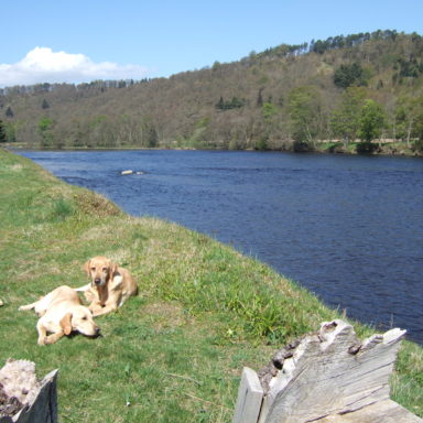 River Tay