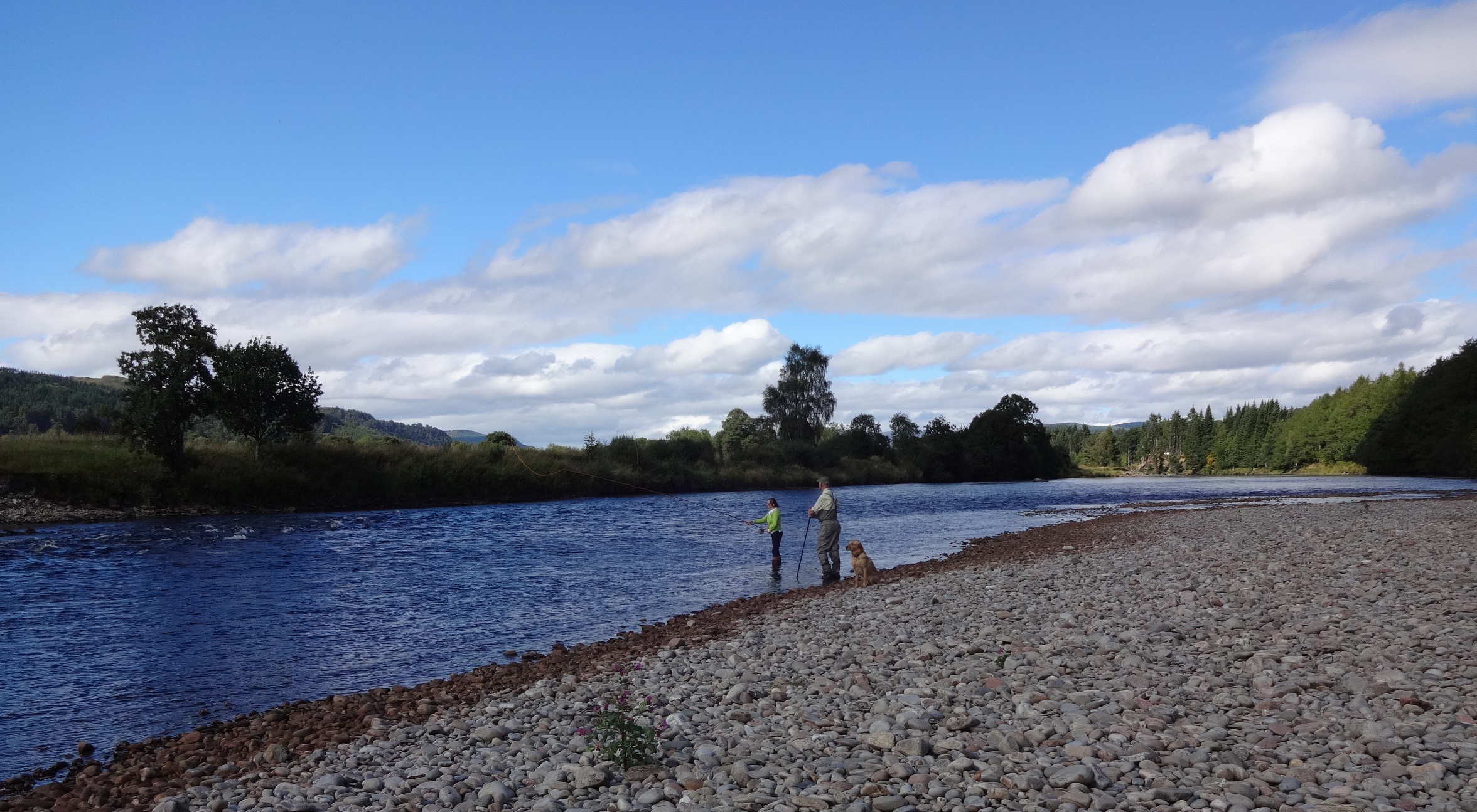 dalmarnockpooltay